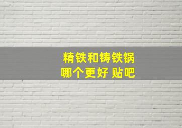 精铁和铸铁锅哪个更好 贴吧